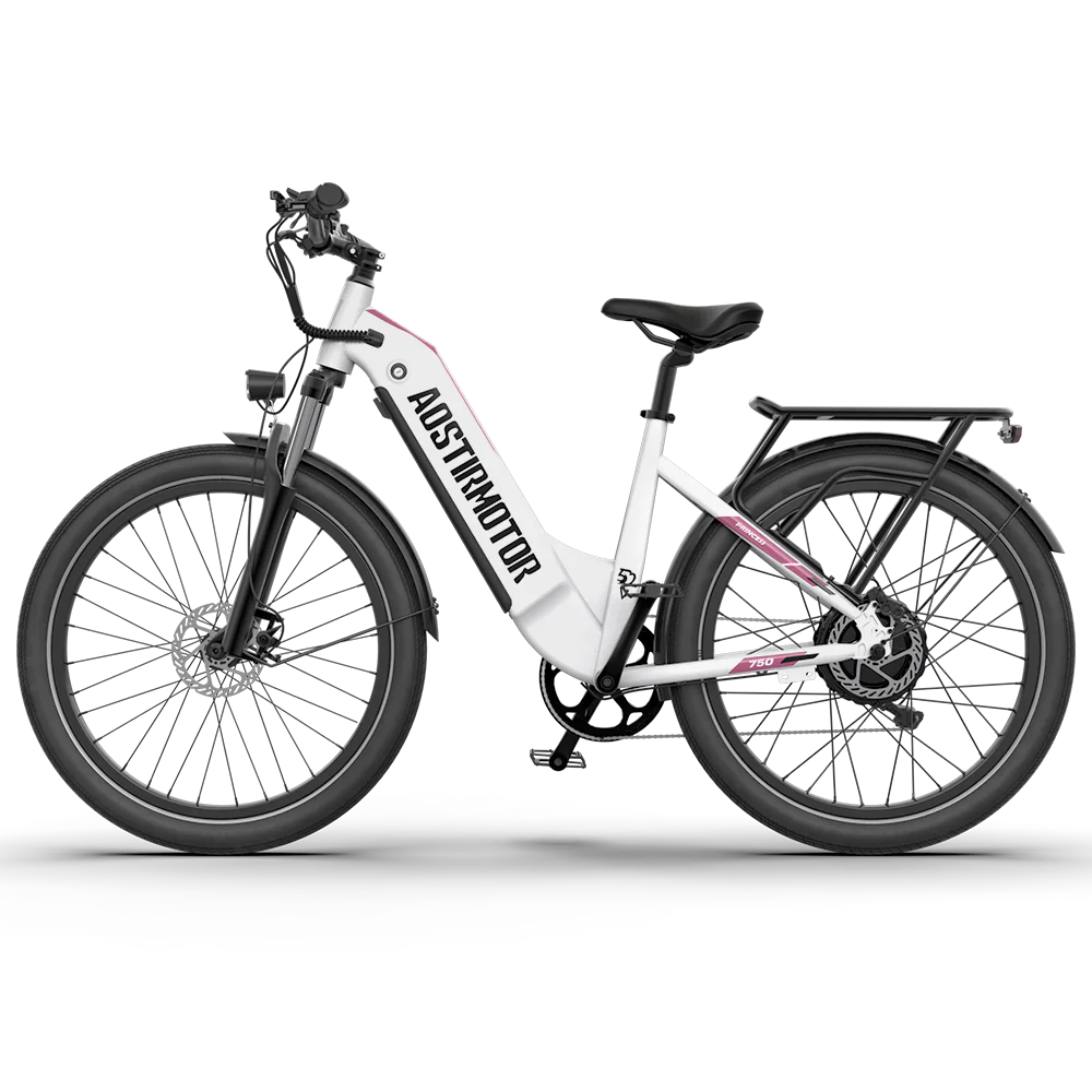 52V Hydraulic Brake Adult Electric Bike Princess