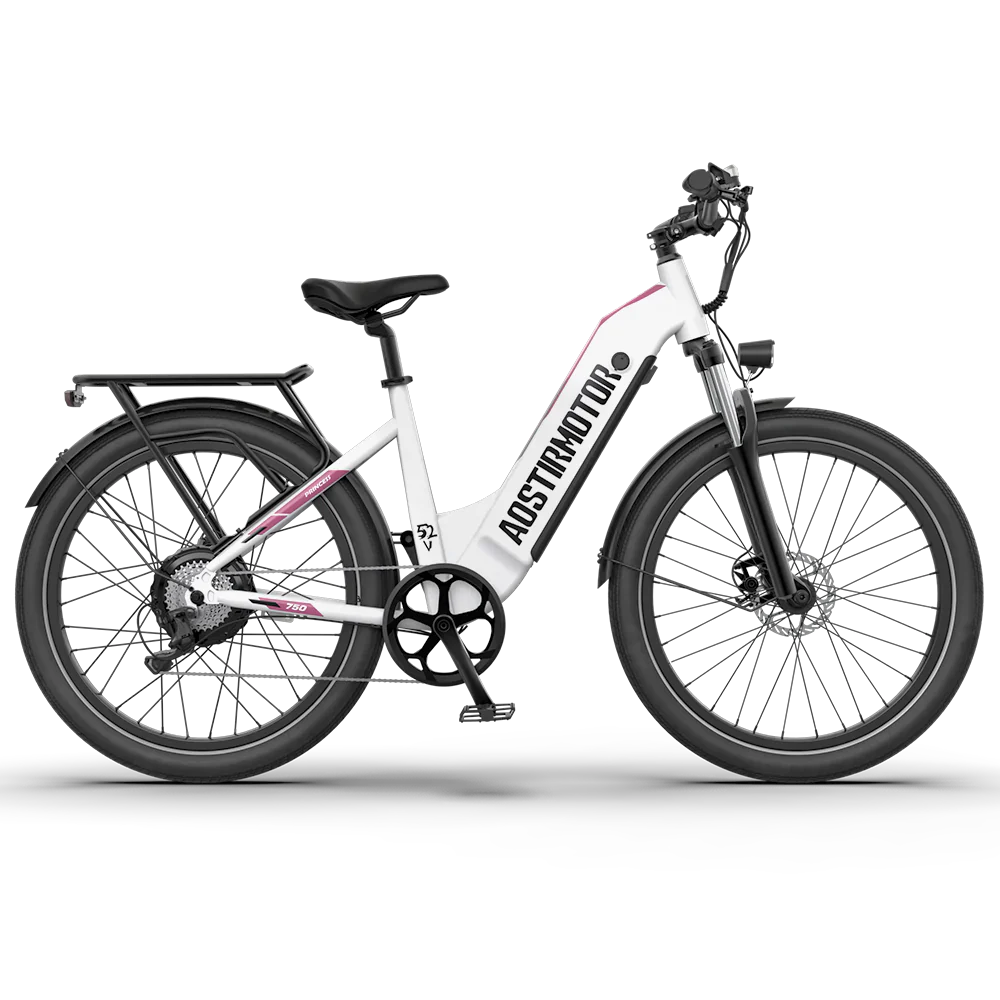 52V Hydraulic Brake Adult Electric Bike Princess