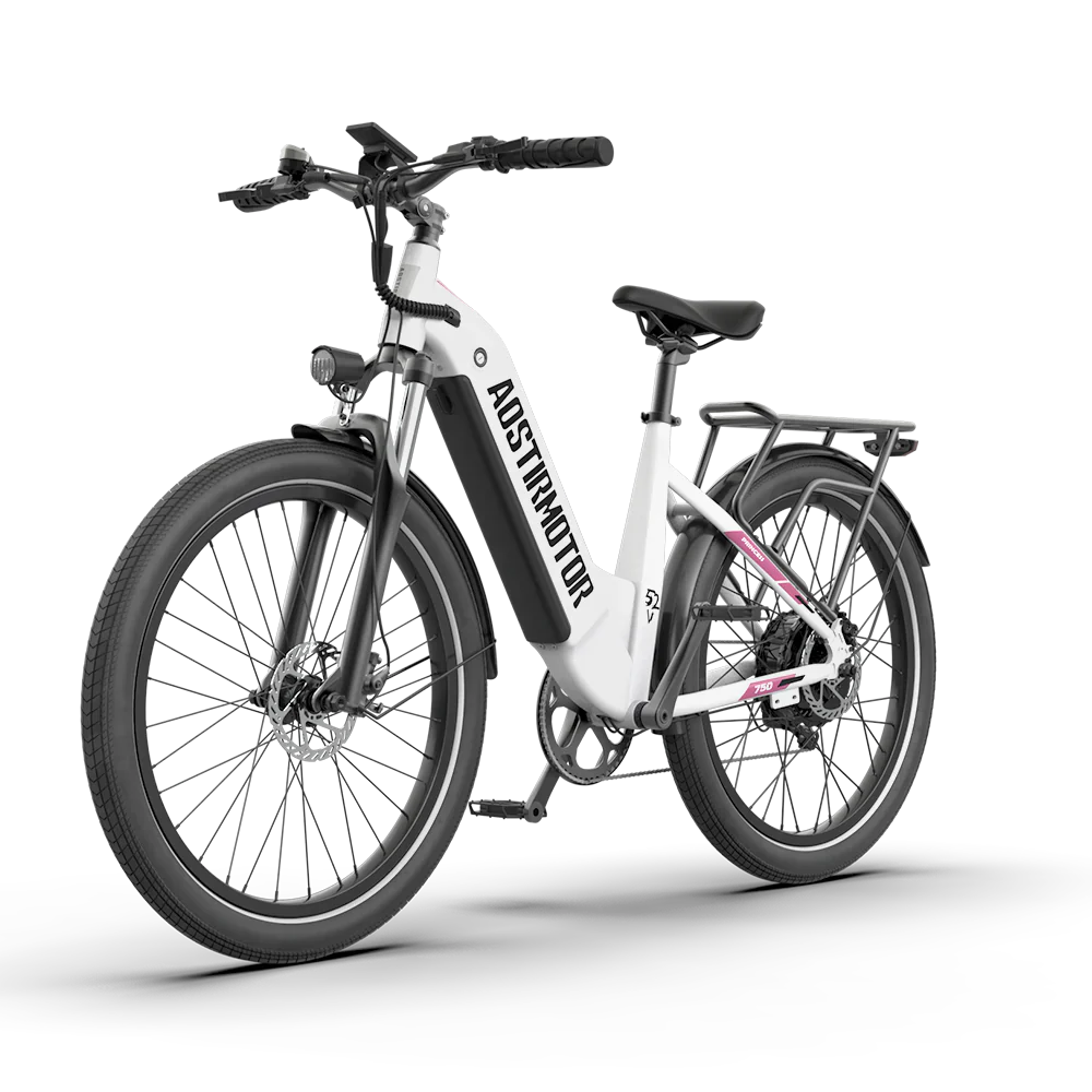 52V Hydraulic Brake Adult Electric Bike Princess